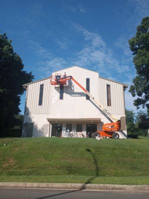 Exterior Painting in Baltimore, MD (3)