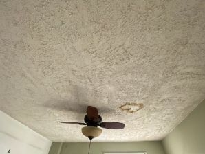 Before & After Plastering Services in Catonsville, MD (1)